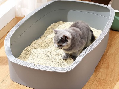 大號貓砂盆注塑